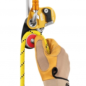 Polea Petzl Mini traxion